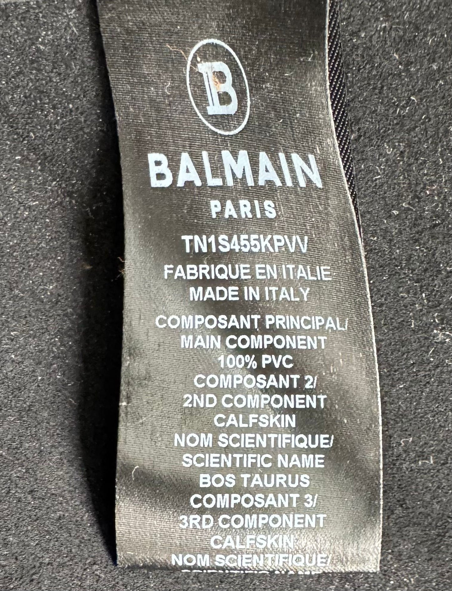 Balmain Printed Logo Transparent Tote Bag