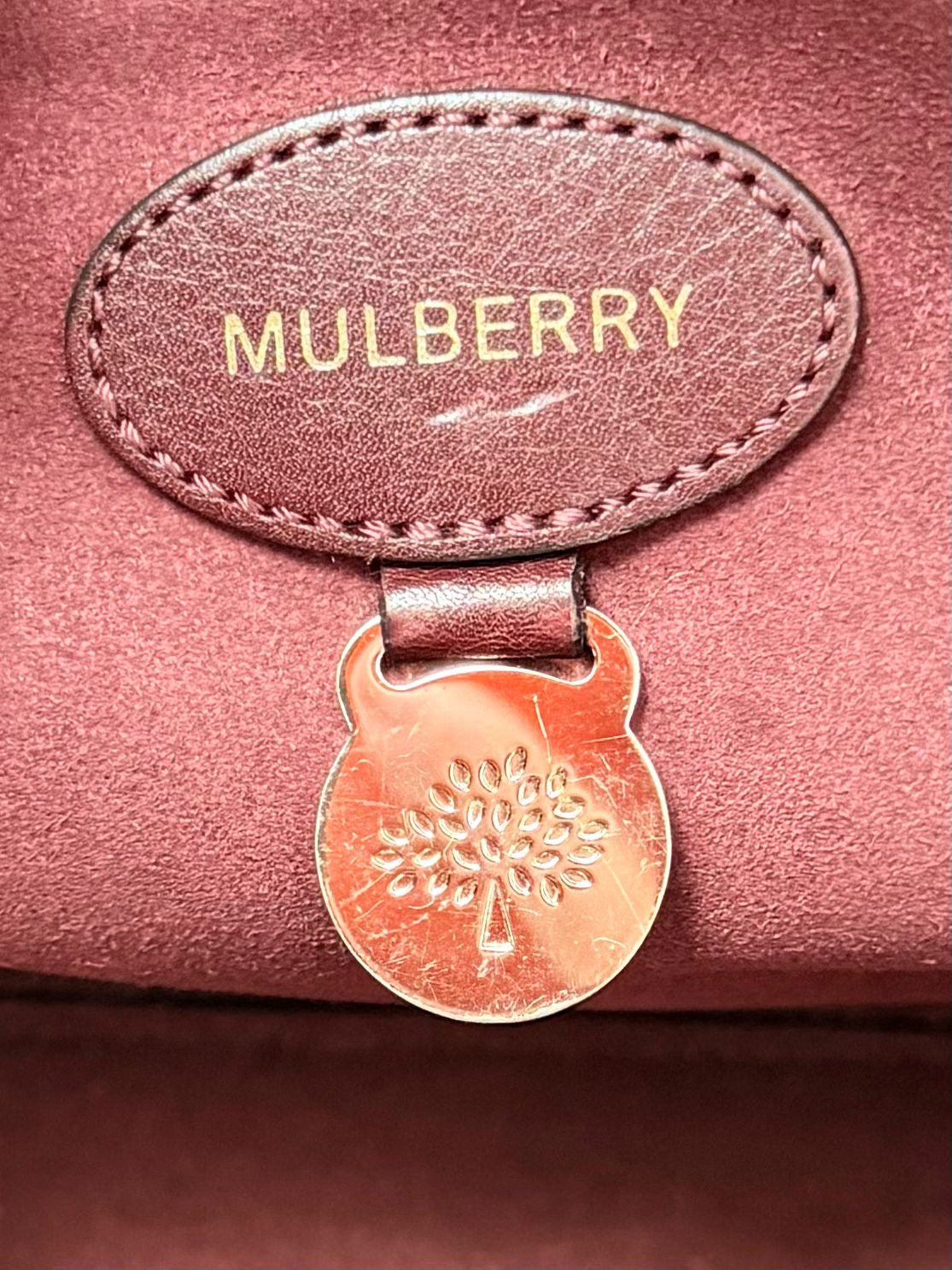 Mulberry Leather Tessie Tote in Oxblood